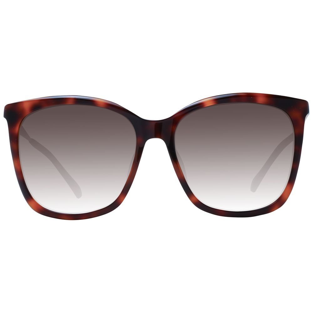 Jimmy Choo Brown Women Sunglasses - Walk-In Closet